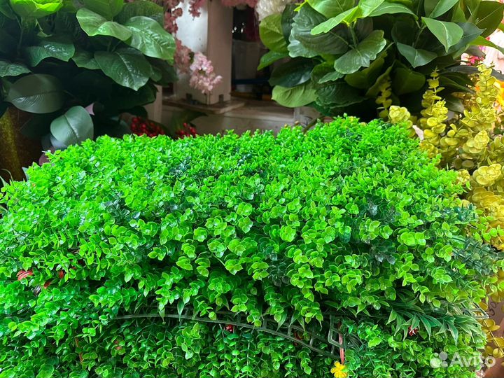 Самшитовые коврики 60*40