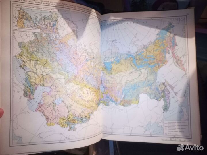 Атлас ареалов ресурсов лекарственных растений СССР