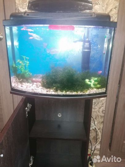 Продаются аквариумы