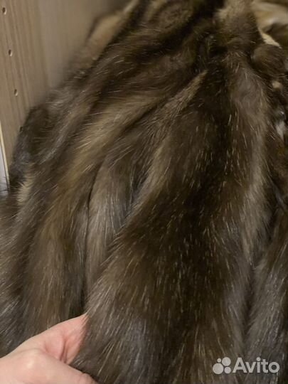 Шкуры соболя