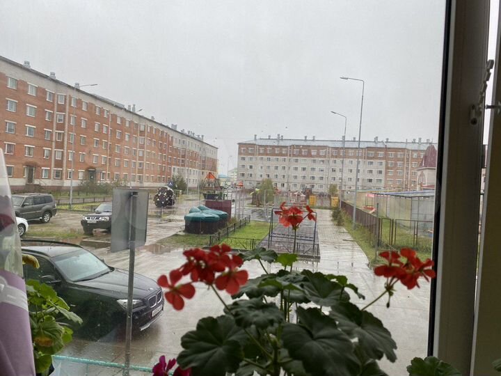 3-к. квартира, 91,8 м², 1/5 эт.