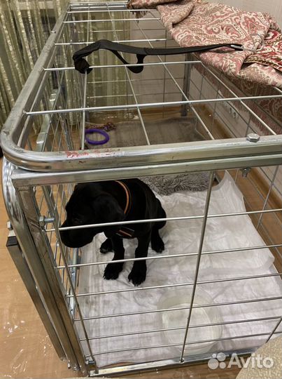 Клетка вальер для больших собак новая