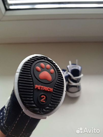 Кеды и зимние ботиночки для маленьких собак