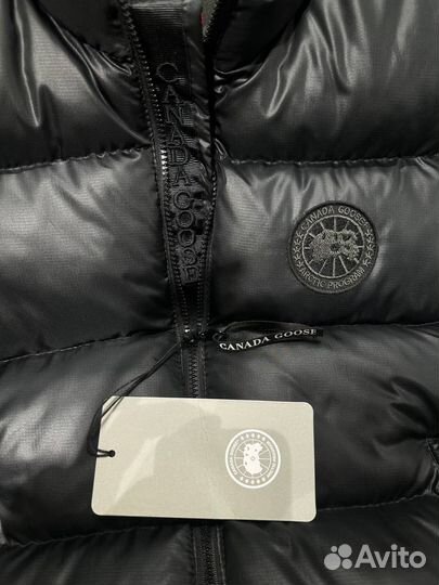 Жилет мужской на весну canada goose