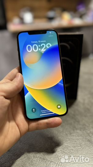 iPhone 12 Pro Max, 256 ГБ