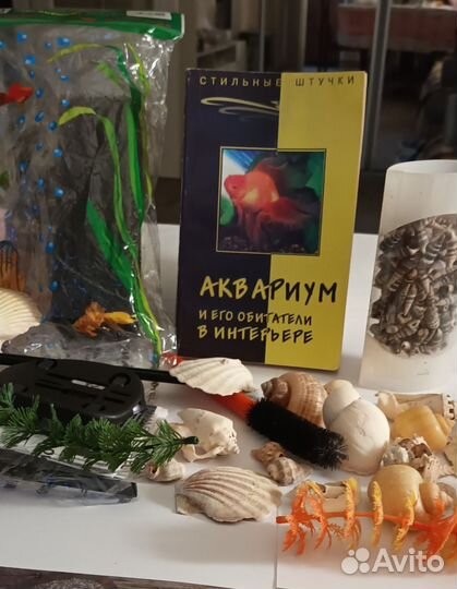 Аквариум, мелочи для него