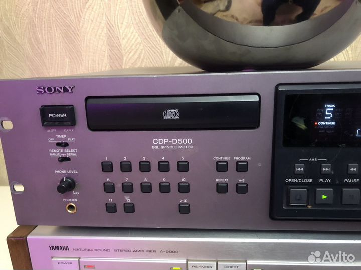 Профессиональный сд Сони