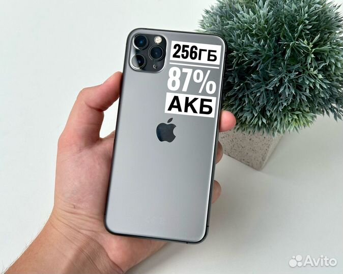 iPhone 11 Pro Max, 256 ГБ