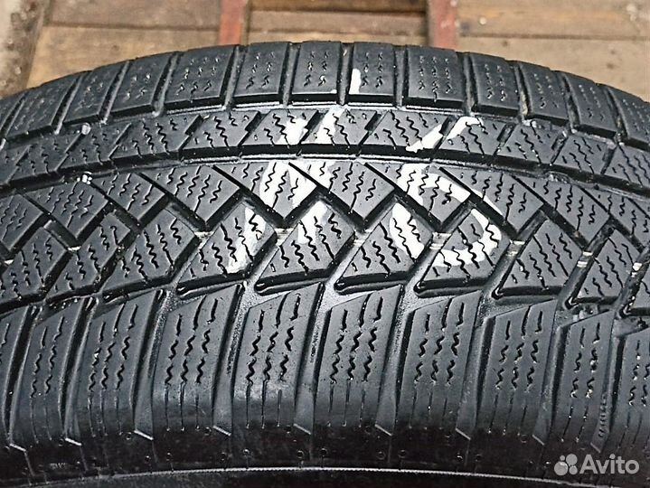 Continental WinterContact TS 850 P 205/60 R16 92H