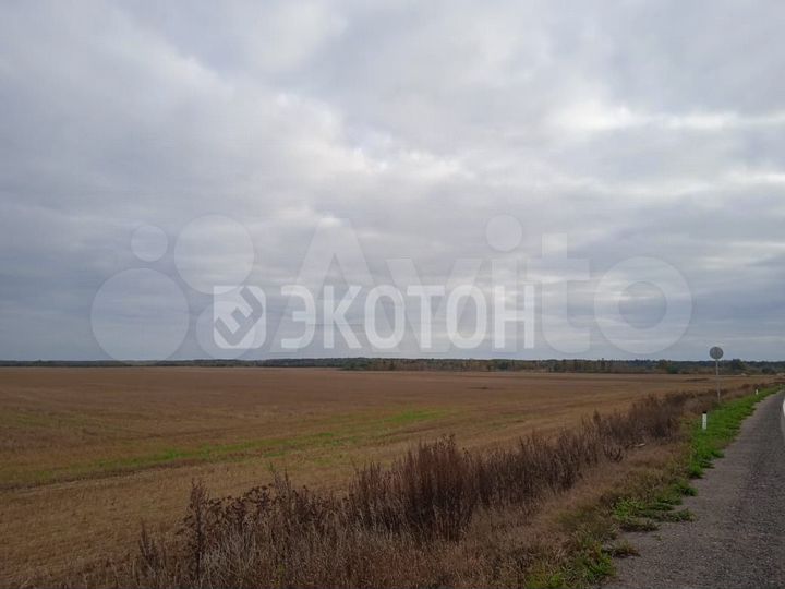 Участок 3,61 га (СНТ, ДНП)