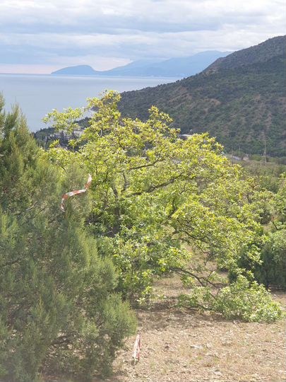 Участок 5,2 сот. (ИЖС)