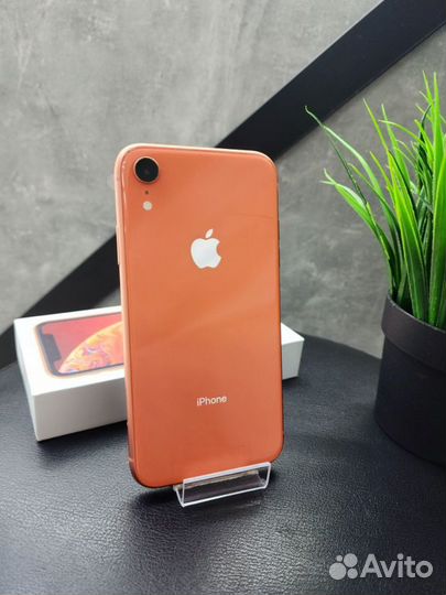 iPhone Xr, 64 ГБ