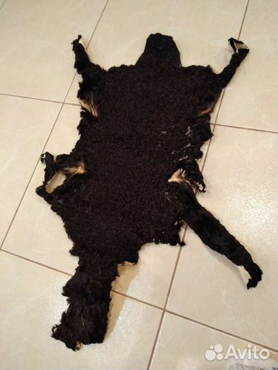 Шкурка каракуль, СССР