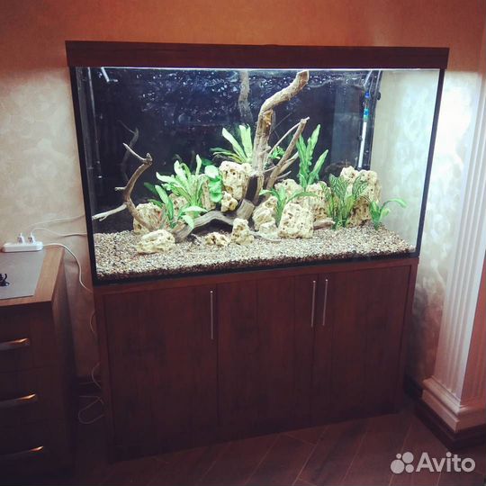 Обслуживание аквариумов