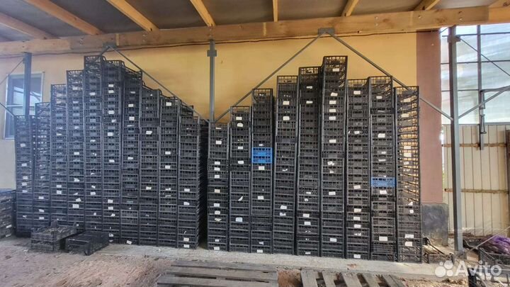 Пластиковые ящики бу