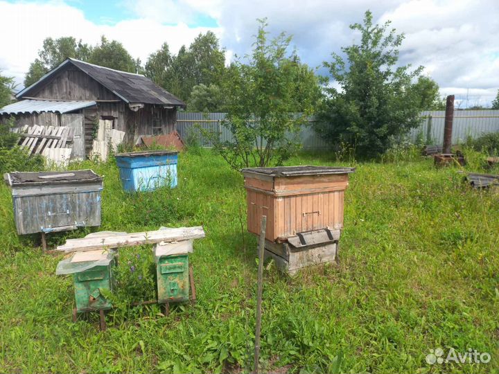 Продам ульи для пчел