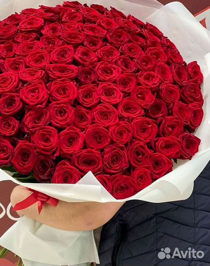 Высокие розы