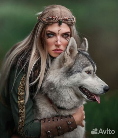 Хаски для фотосессии, рекламы