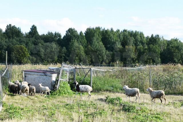 Участок 10,6 сот. (СНТ, ДНП)