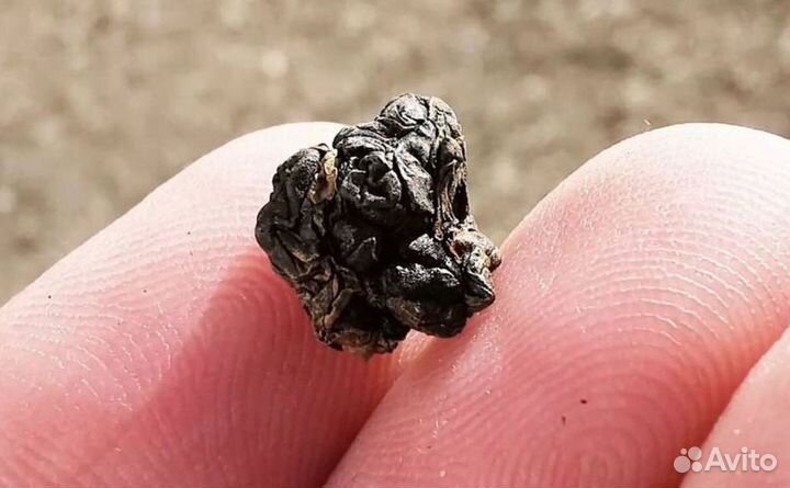 Чай Габа Алишань