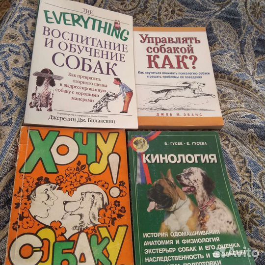 Кинология, дресс-ка. Лабрадор, немецкая овчарка