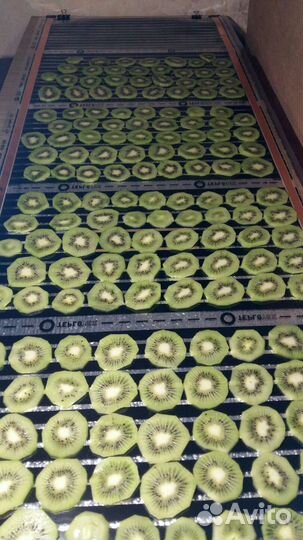 Сушилка для овощей и фруктов