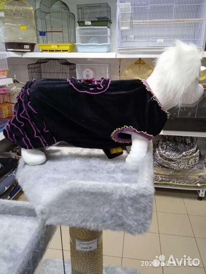 Одежда для собак мелких пород и средних пород