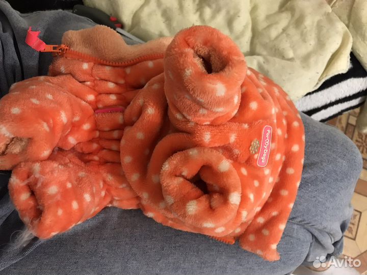 Костюм для собаки