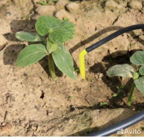 Капельный полив полный набор