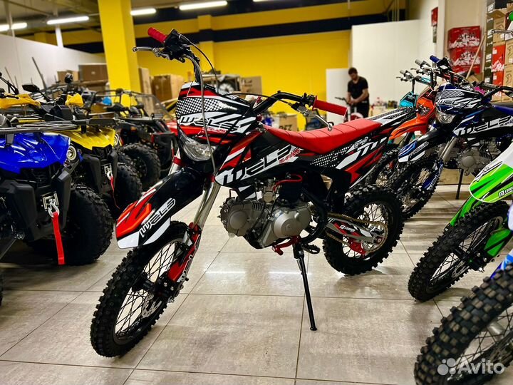 Питбайк Wels 125 Team Наличие
