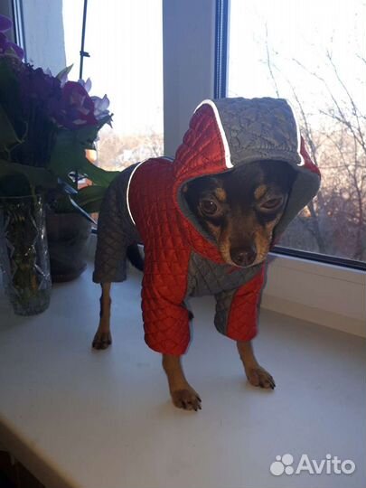 Комбинезон зимний