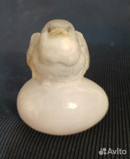 Птичка Зарянка, малиновка. Дореволюционная