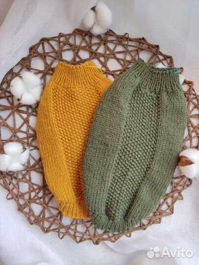 Одежда для собак