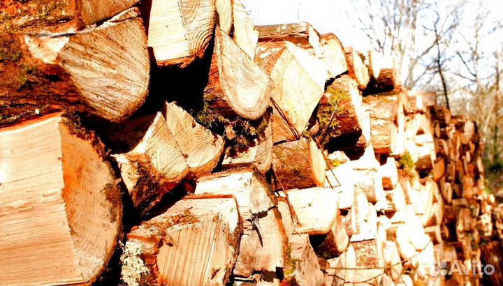 Дрова сегодня