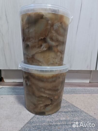 Ведро 3 л мохнатых грибов ломанные