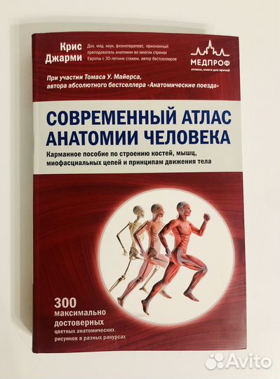Современный атлас анатомии человека