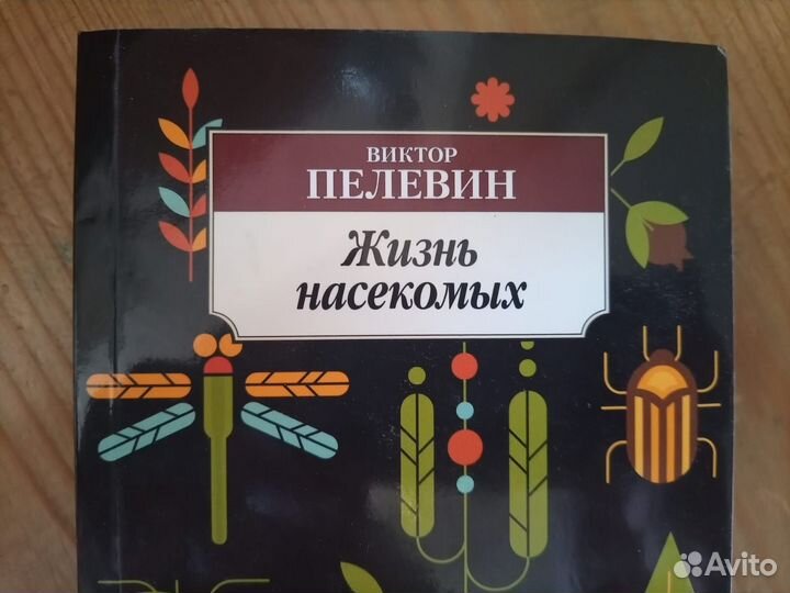 Жизнь насекомых 