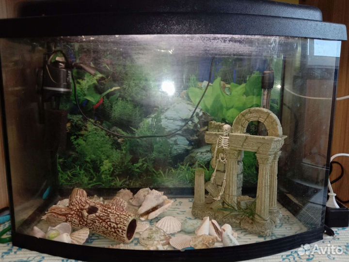 Аквариум под ключ
