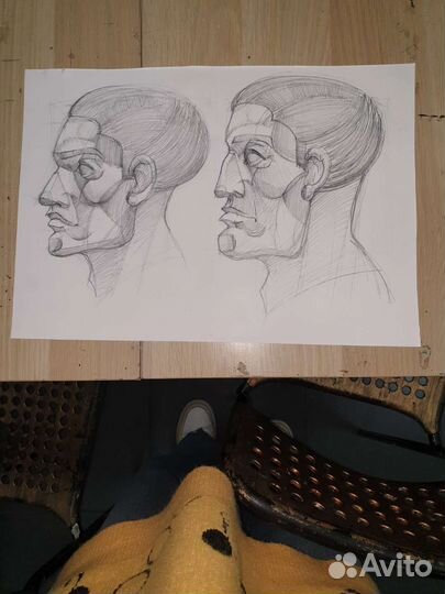 Художник иллюстратор