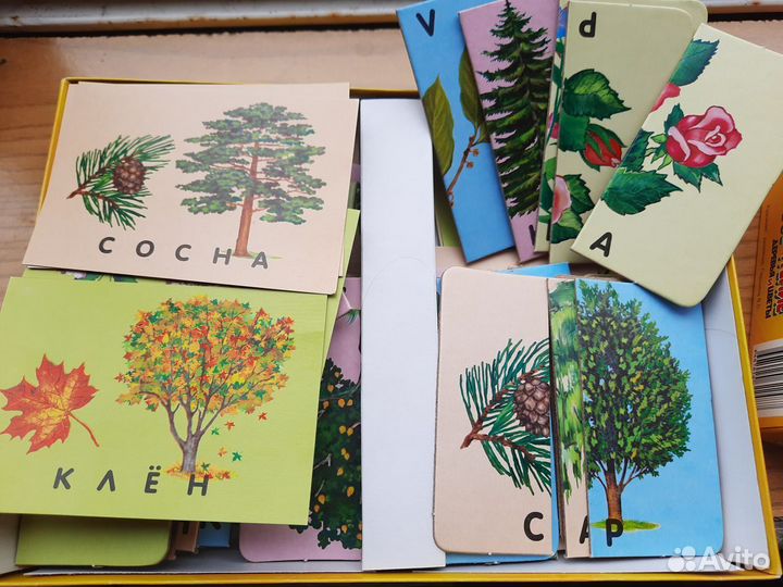 Учусь читать