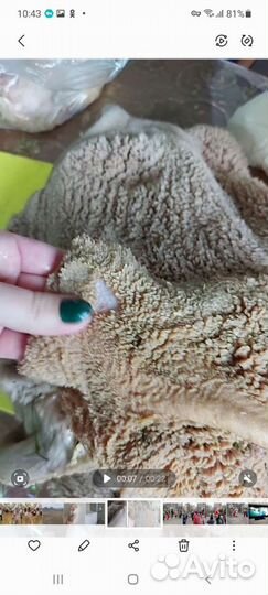 Мясо для собак. Говядина, конина, кролик