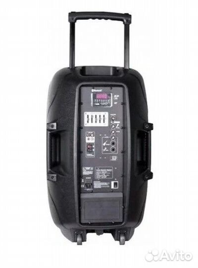 Акустическая система Leem PR-12HR