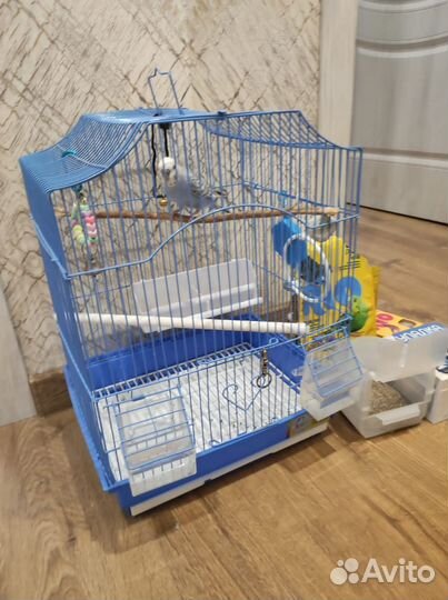 Попугай с клеткой