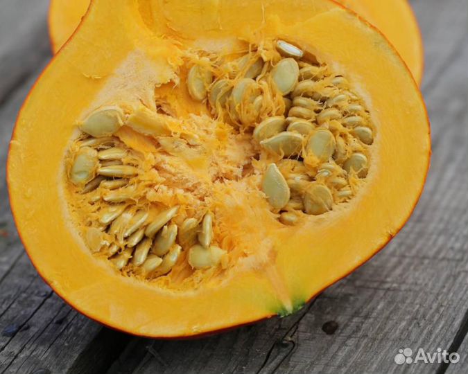 Семена Тыквы 