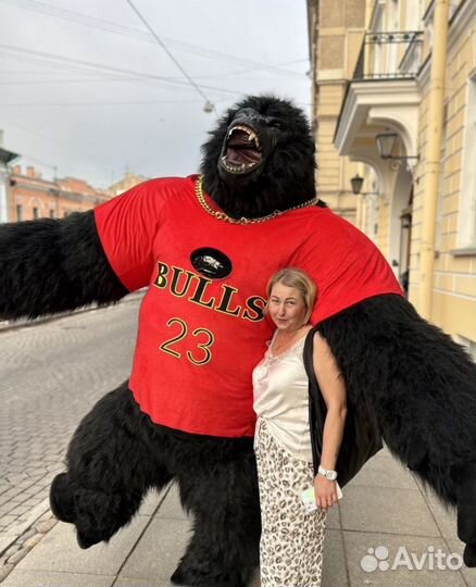 Кинг-Конг Горилла на день рождение, Поздравление