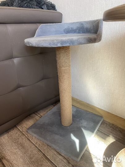 Когтеточка