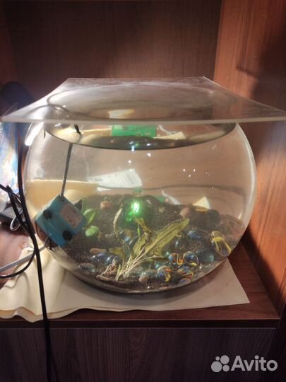 Аквариум