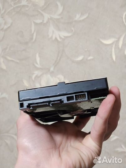 Жесткий диск WD blue