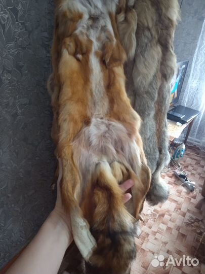 Лисьи шкуры
