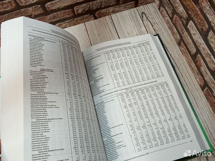 Российский статистический ежегодник 2006